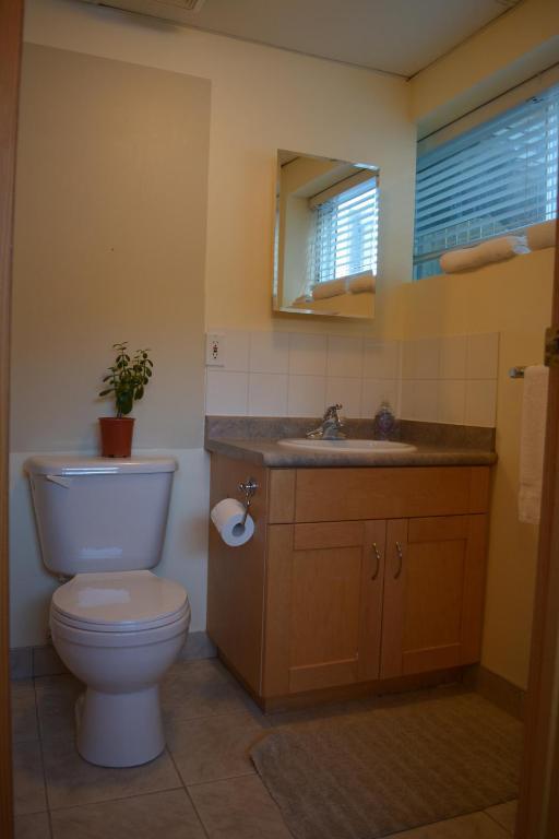 ג'ספר Caruso'S Accommodation מראה חיצוני תמונה